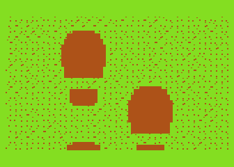 Ants