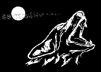 In the Night