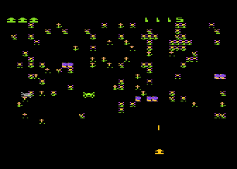 Insects