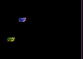 Snail Run